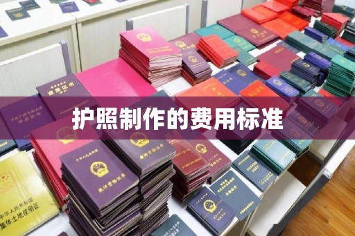 磐石护照制作的费用标准