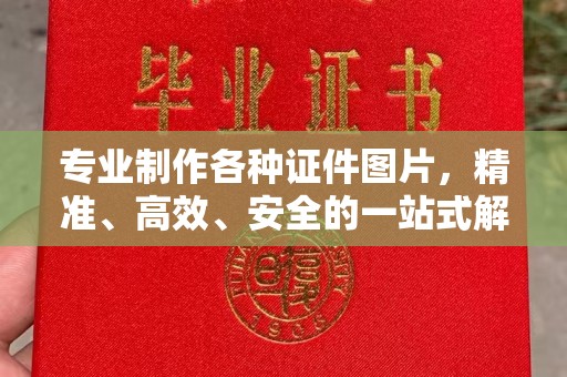 磐石专业制作各种证件图片，精准、高效、安全的一站式解决方案