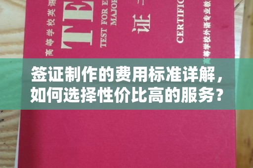 磐石签证制作的费用标准详解，如何选择性价比高的服务？