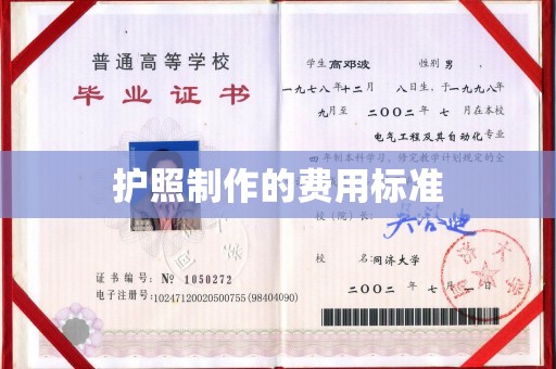 磐石护照制作的费用标准