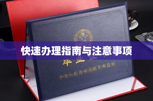 磐石快速办理指南与注意事项